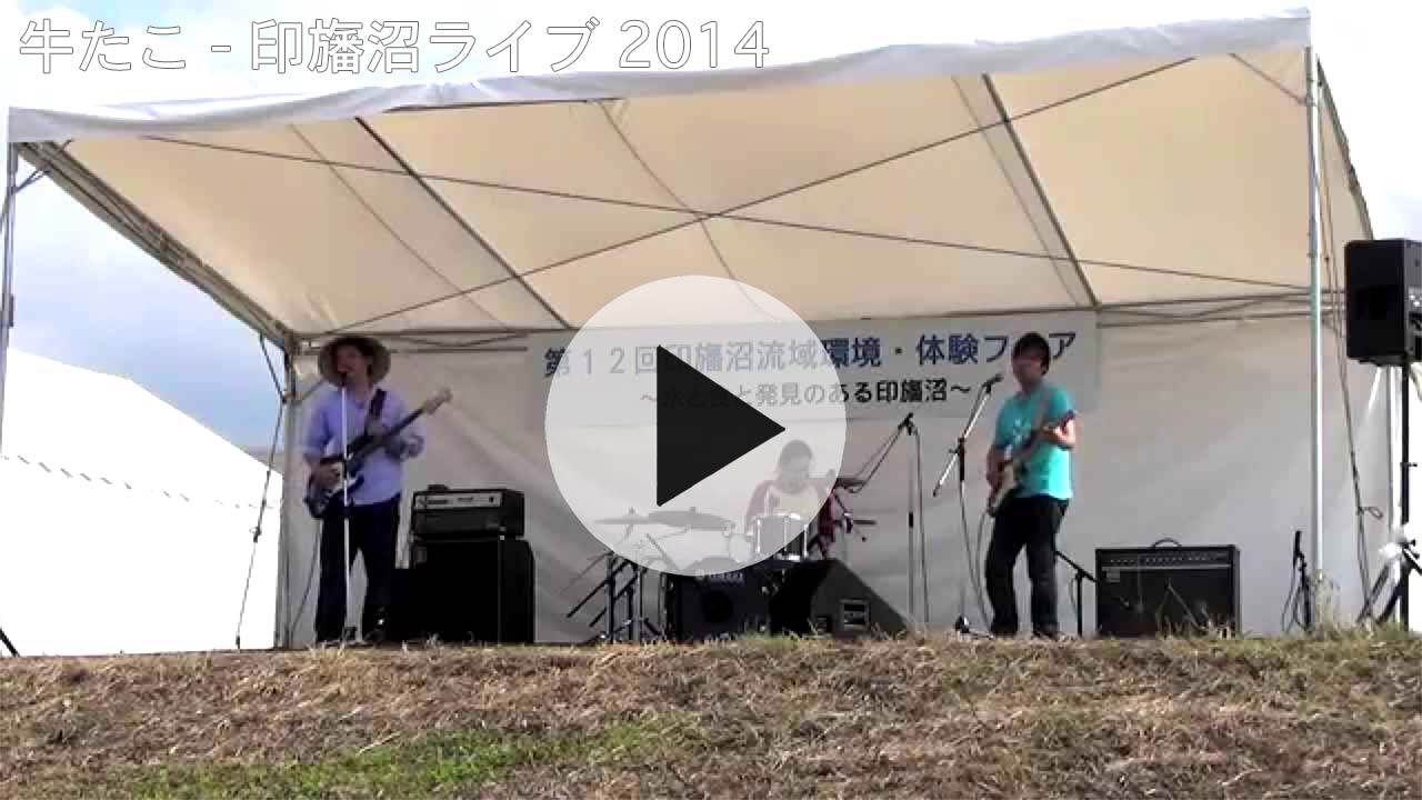 牛たこ - 印旛沼ライブ2014